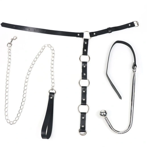 EverydayUse Collar 5853 Leash Hook and Kinky with Anal 0808